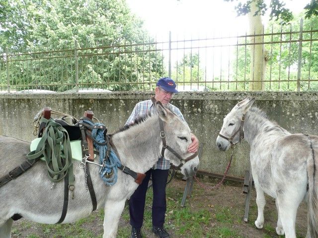 Le Parc 19 juillet 2012 (4).jpg